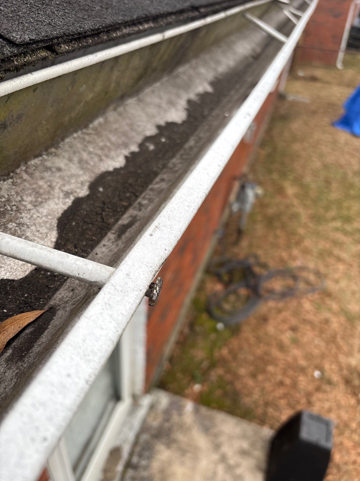 Granular loss from shingles falling into the gutter