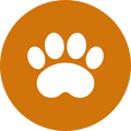 pet screening