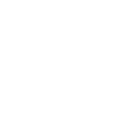 White logo