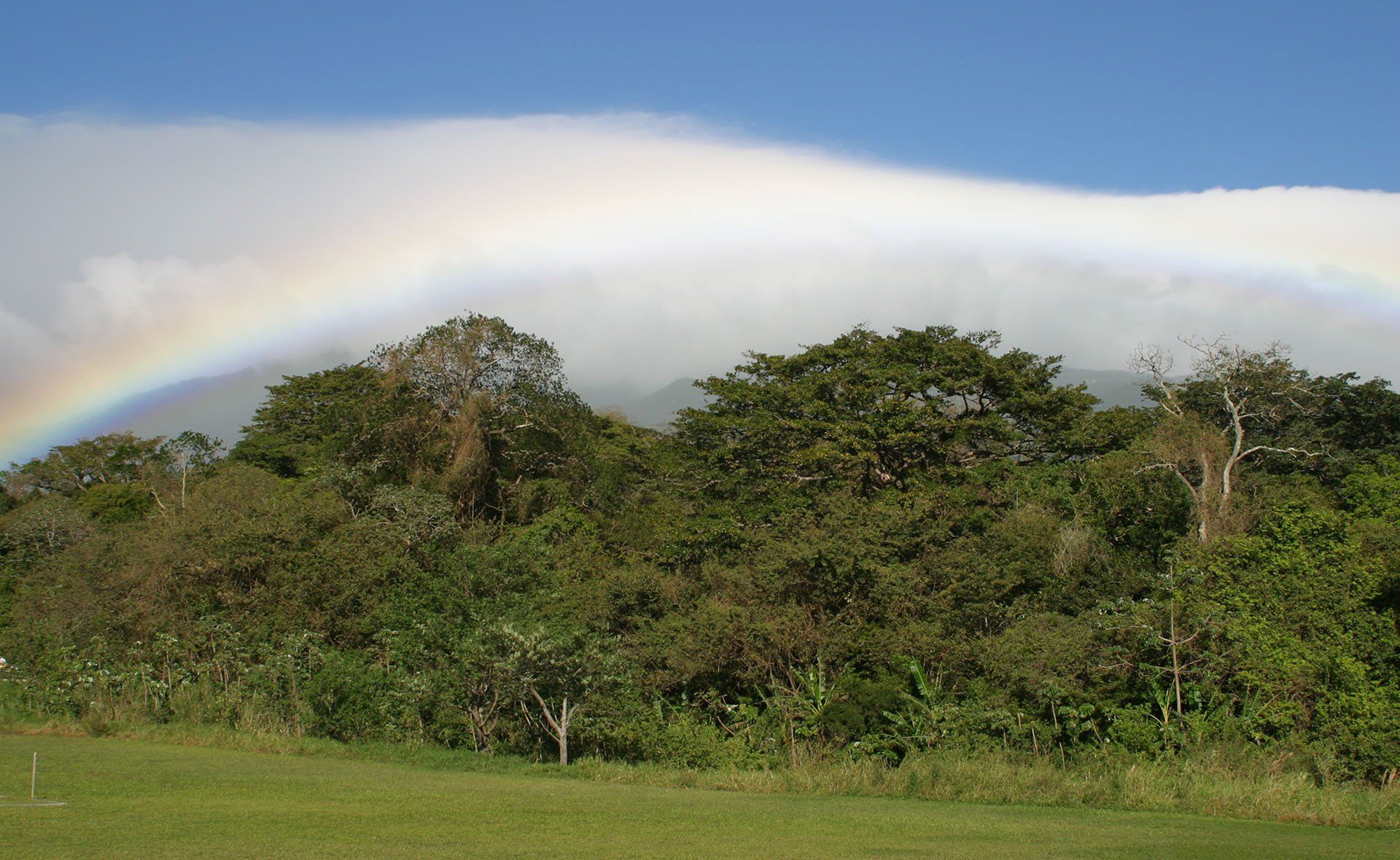 A rainbow is visible over a lush green forest