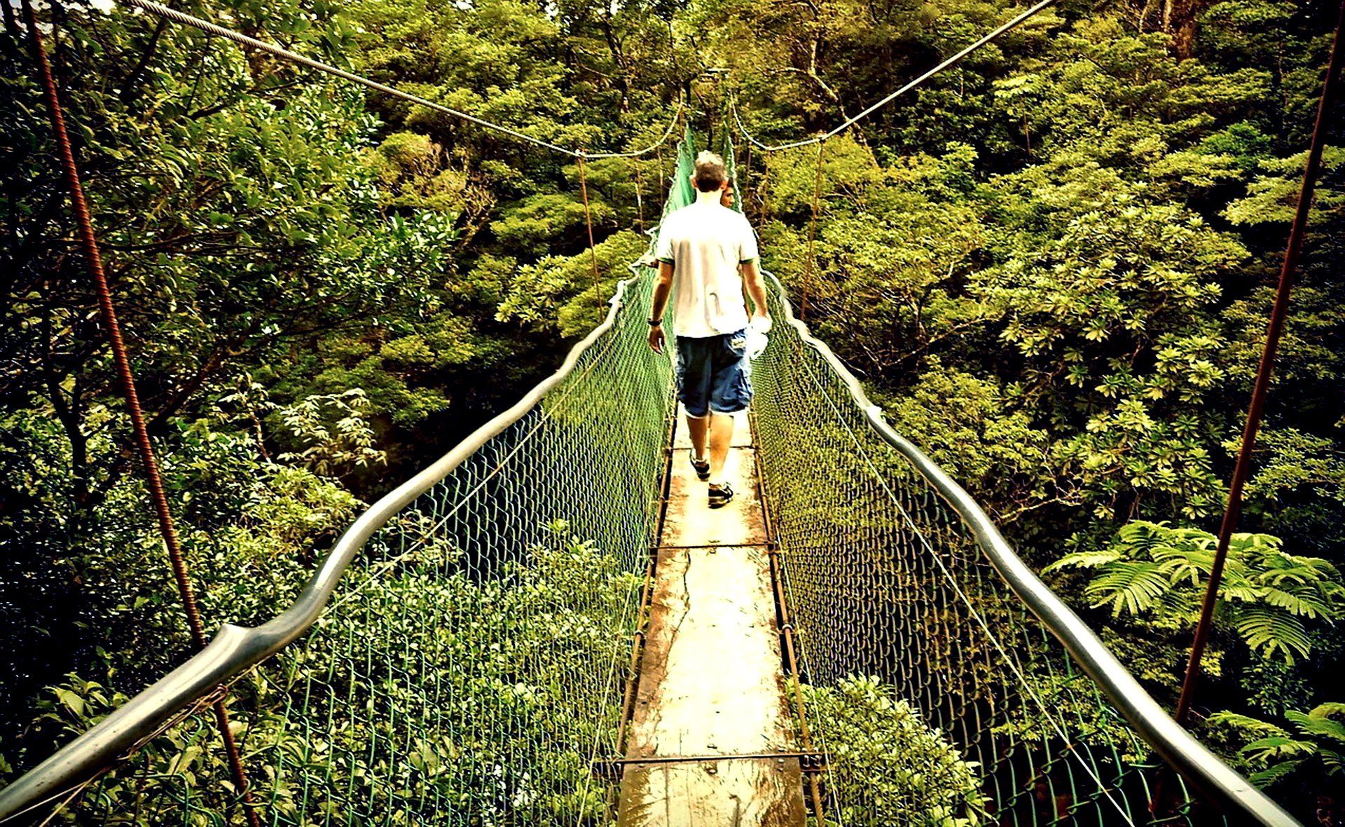 A man is walking across a suspension bridge in the woods.