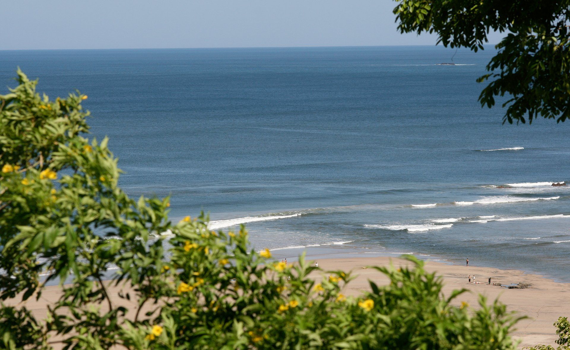 A view of the ocean from a beach with trees in the foreground