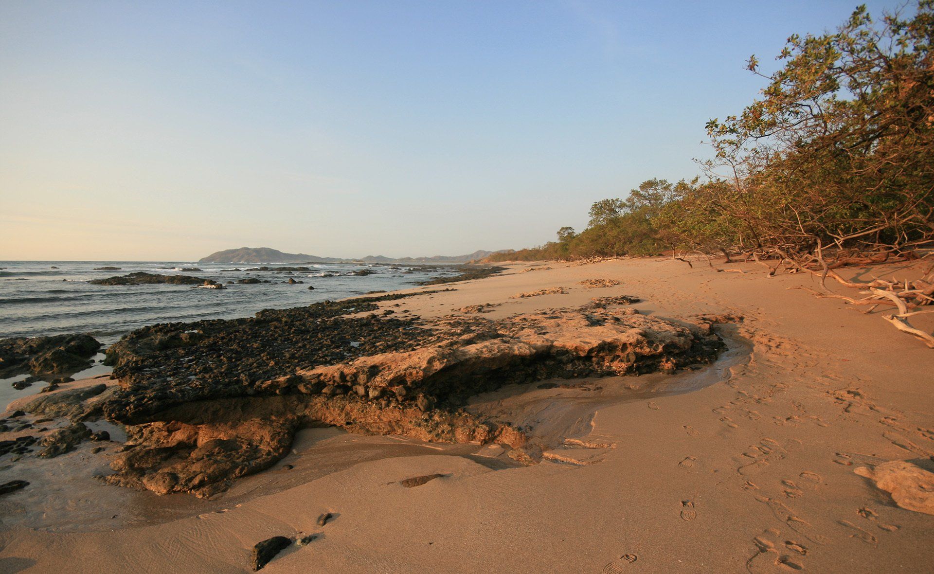 A sandy beach with rocks and trees in the background