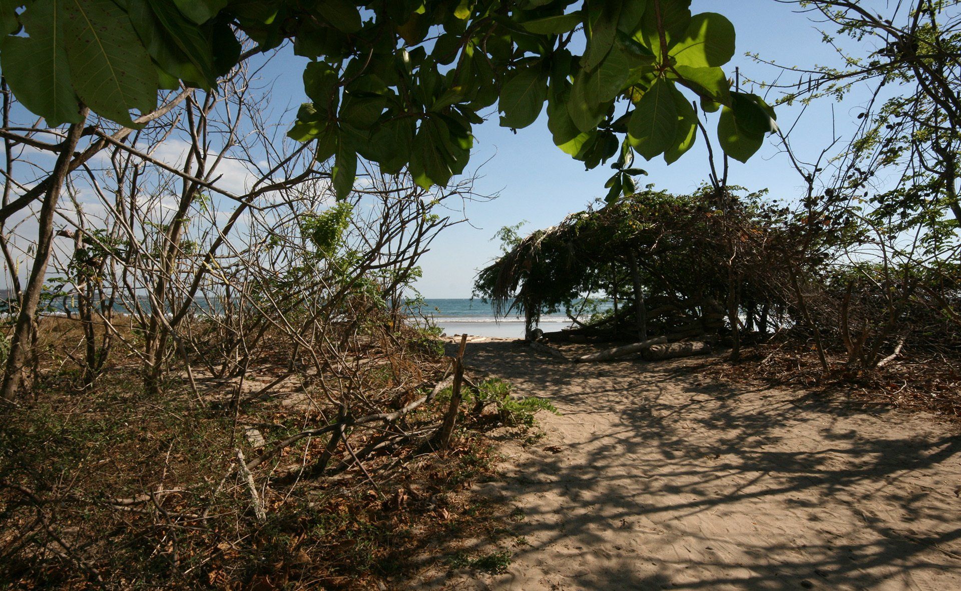 A dirt path leading to the beach is surrounded by trees