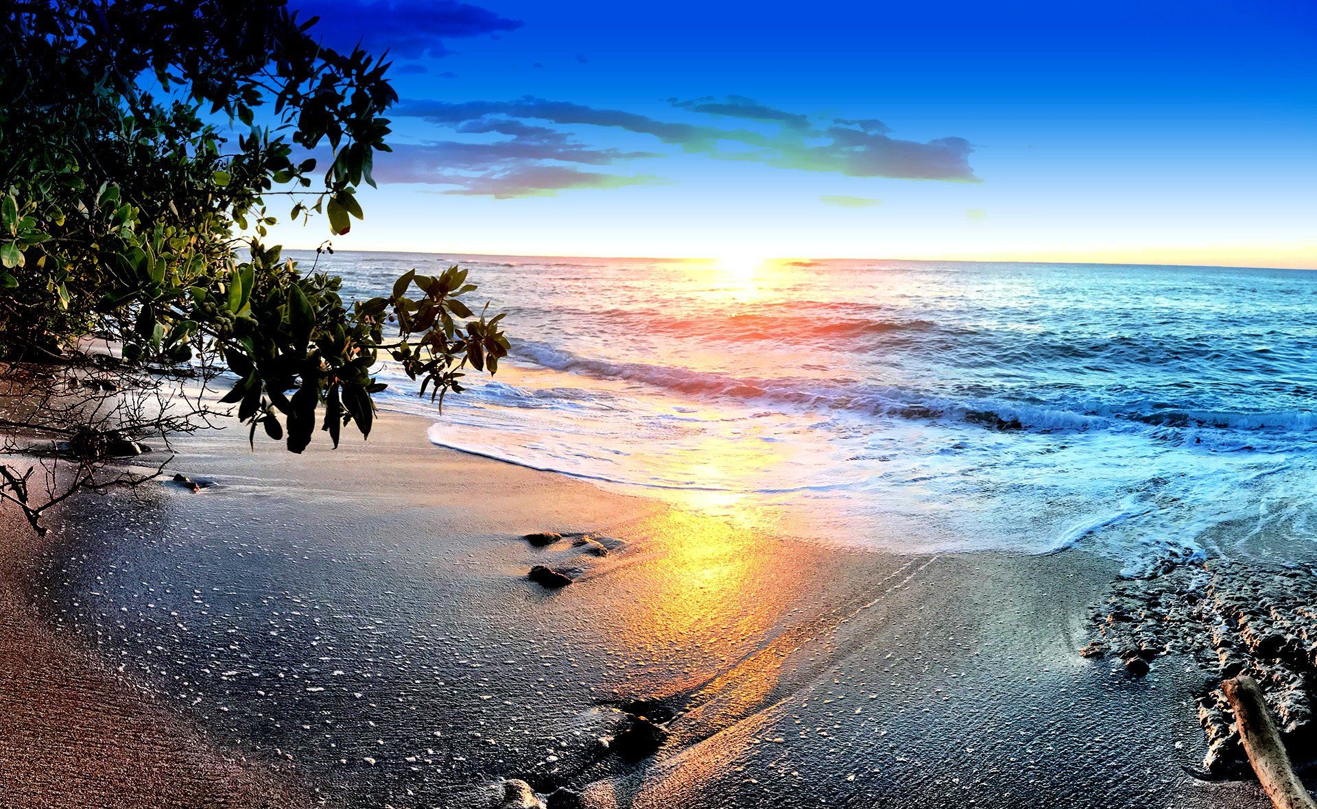 A sunset over a beach with a tree in the foreground