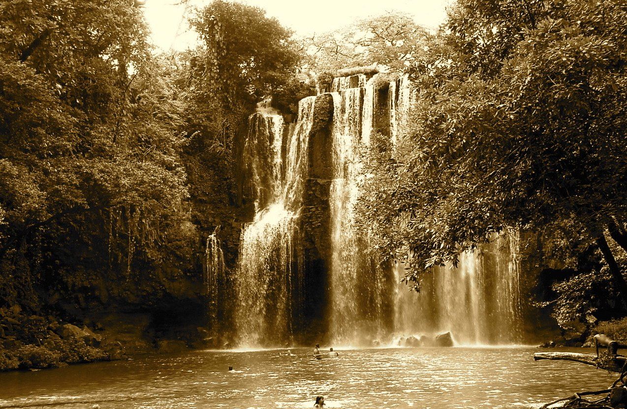 A waterfall is surrounded by trees and a body of water