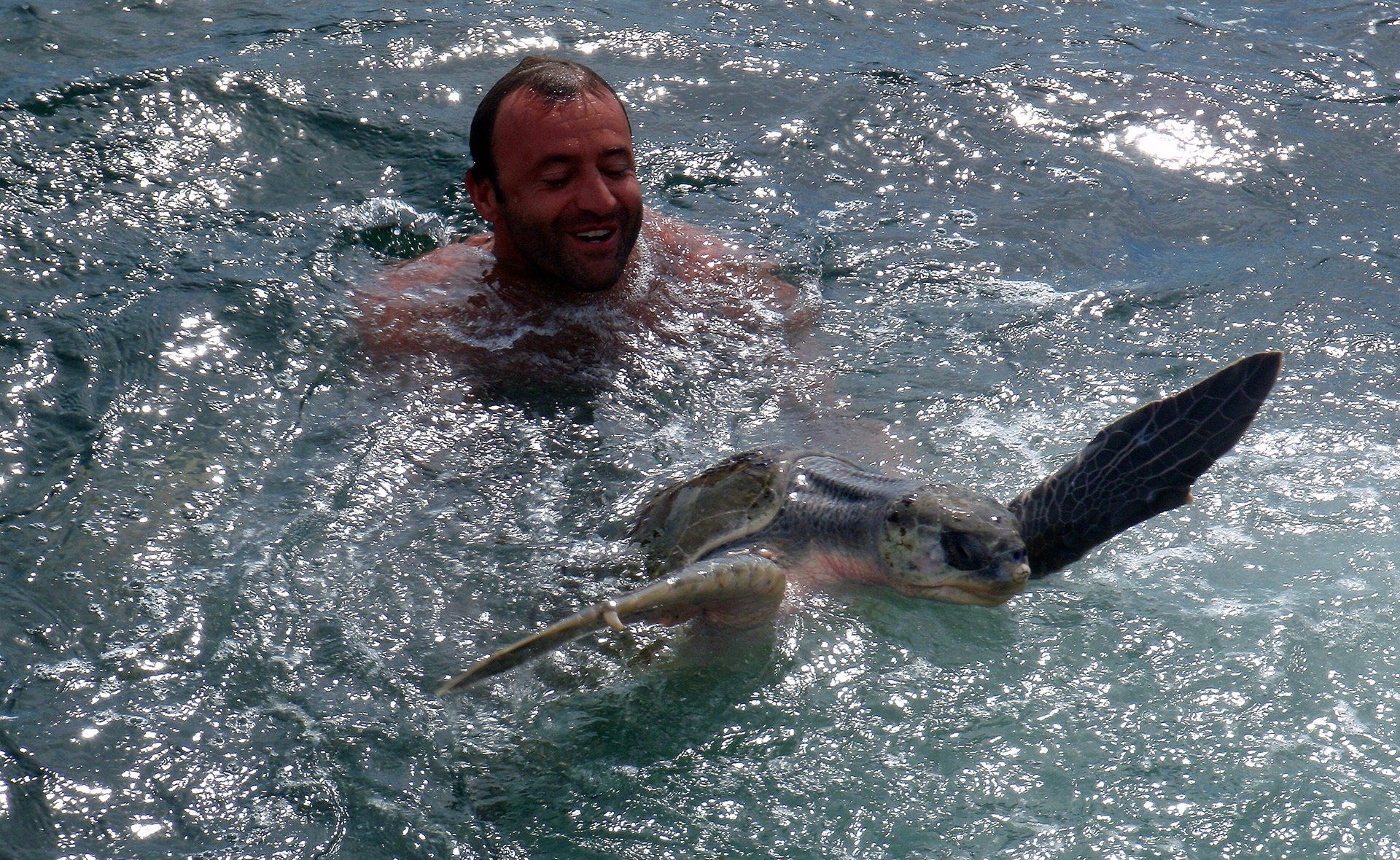A man is holding a sea turtle in the water