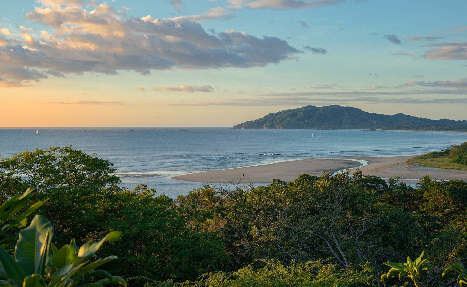 A view of a beach with trees in the foreground and a mountain in the background.