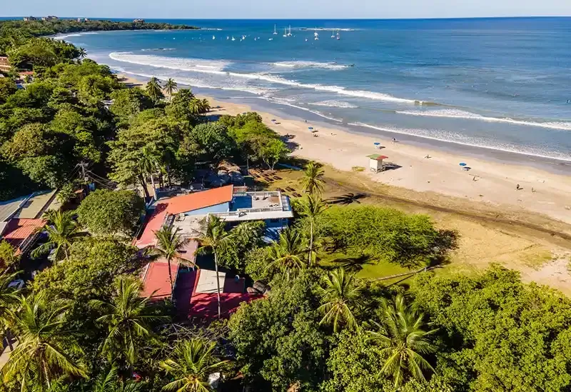 An aerial view of a beach surrounded by trees and palm trees.