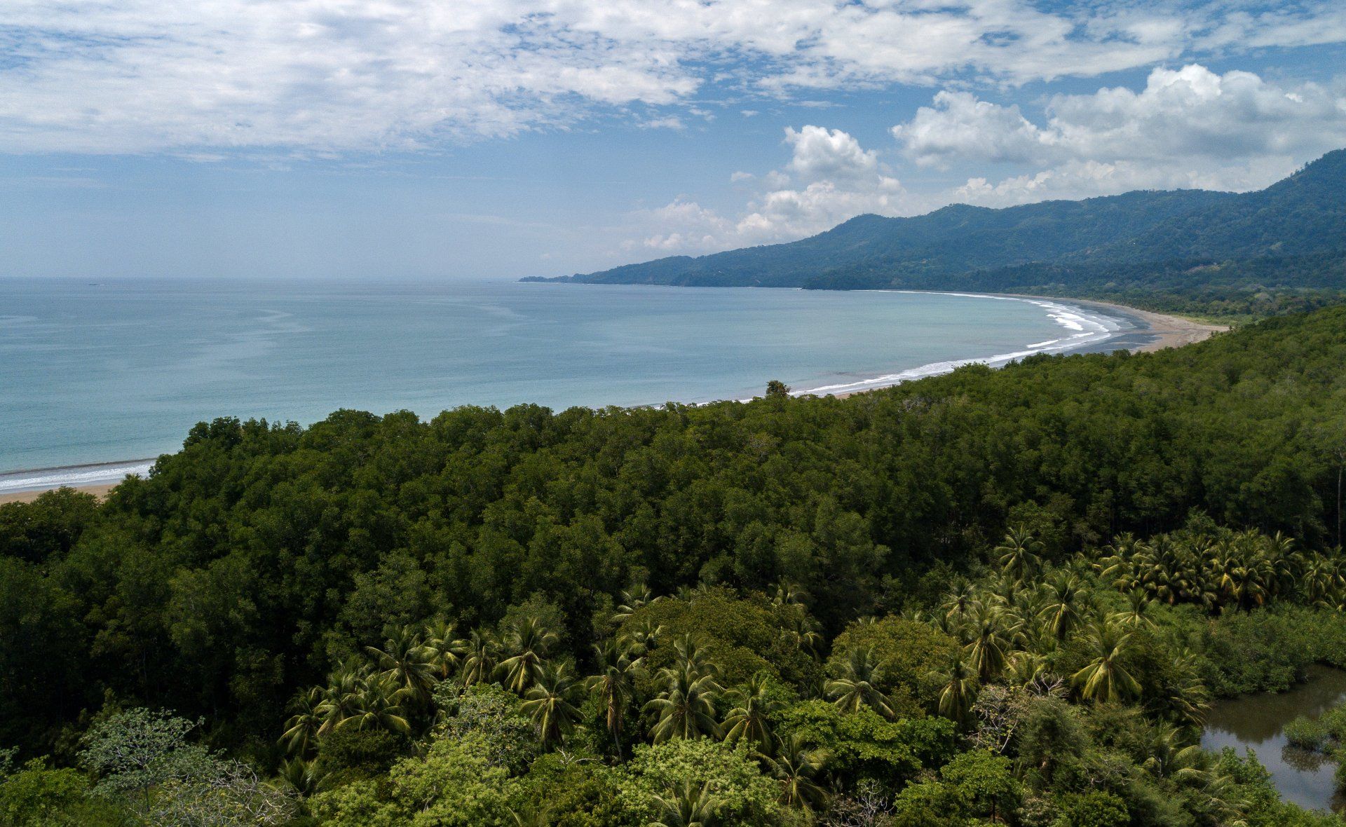 An aerial view of a beach surrounded by trees and mountains.