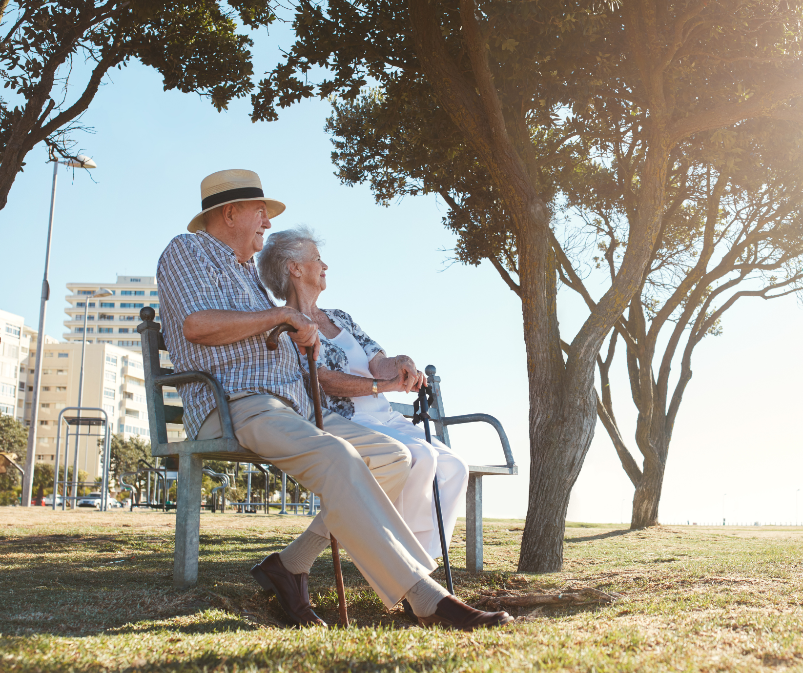 An elderly couple is sitting on a park bench under a tree.