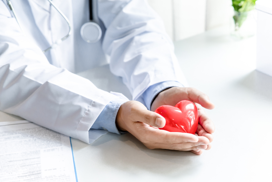 A doctor is holding a red heart in his hands.