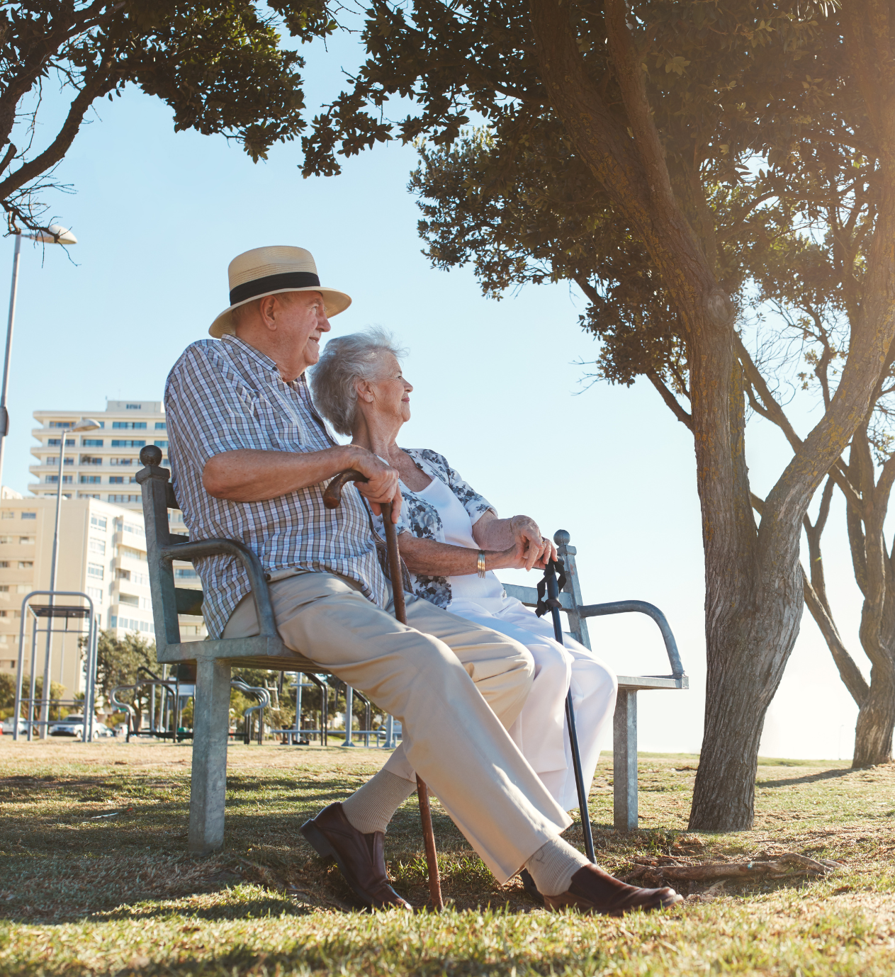 A man and woman are sitting on a park bench under a tree.