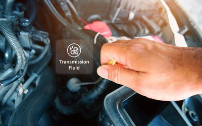 Hand adjusting Transmission Fluid on vehicle | Import Specialty Service