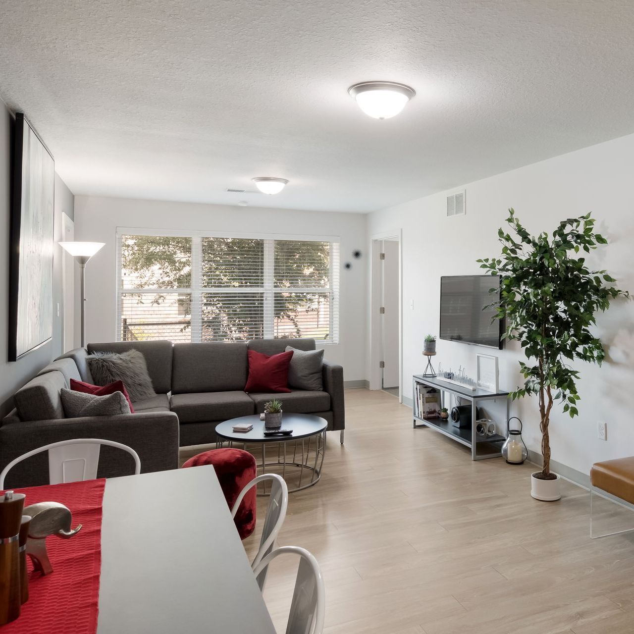 college apartment