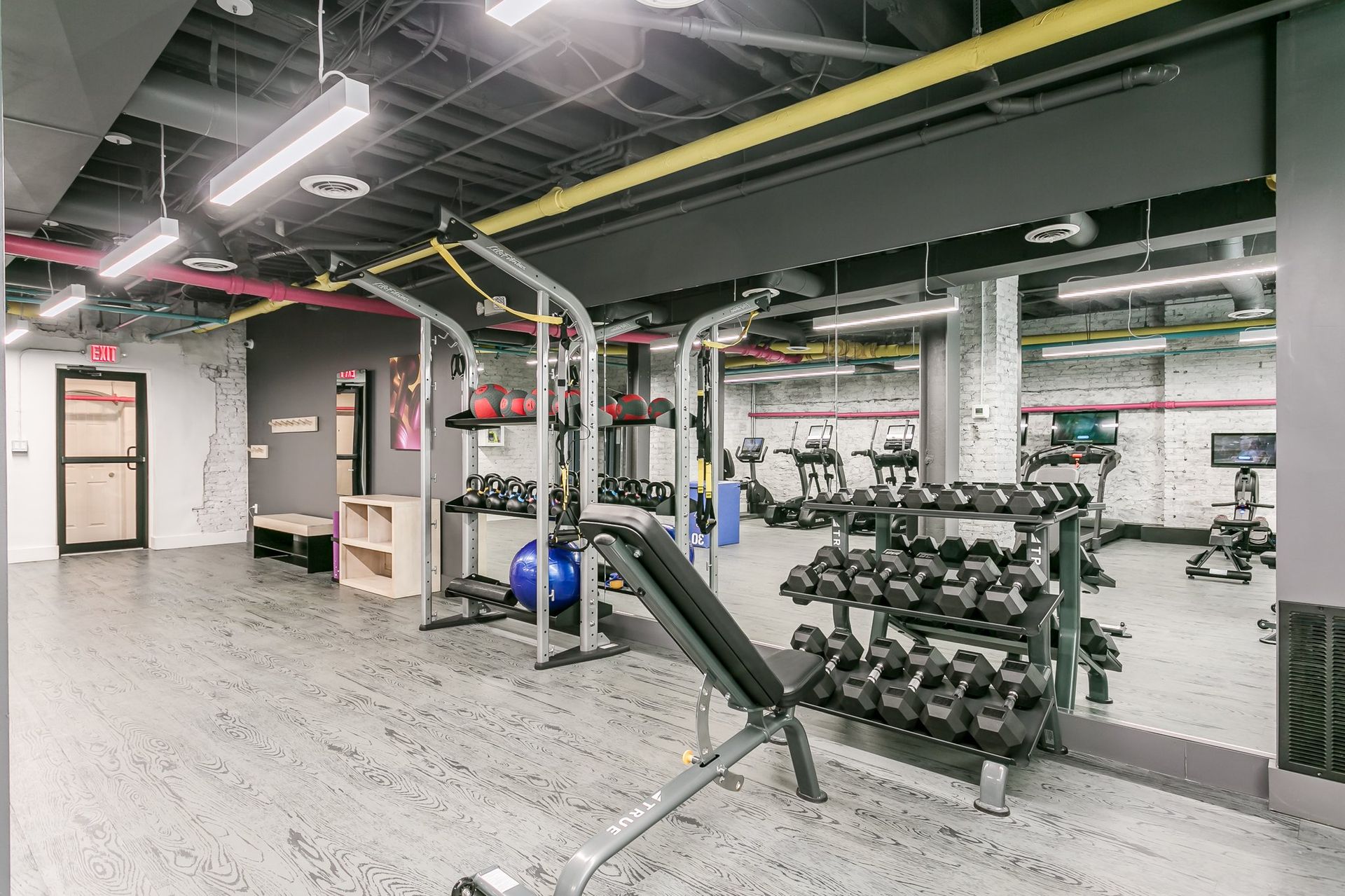 Dumbells and bench
