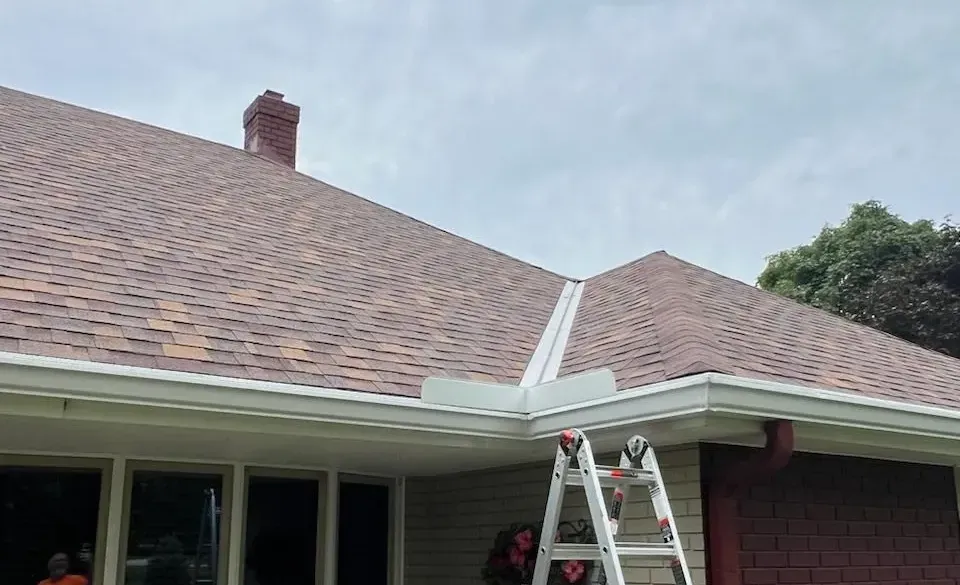 A ladder is sitting on the side of a house next to a roof.