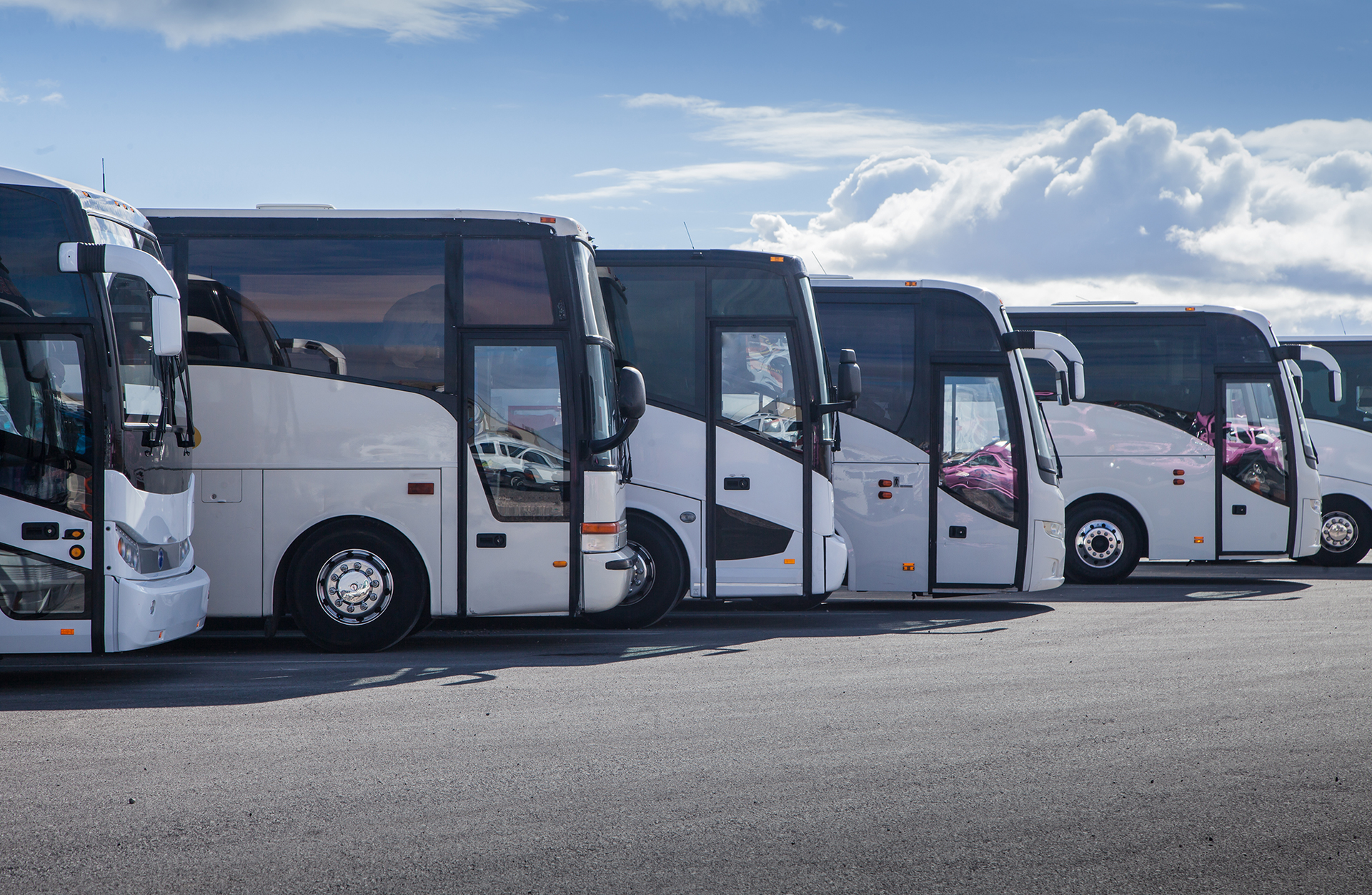 A row of buses are parked in a parking lot.