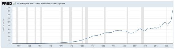 Federal Government Current Interest Payments