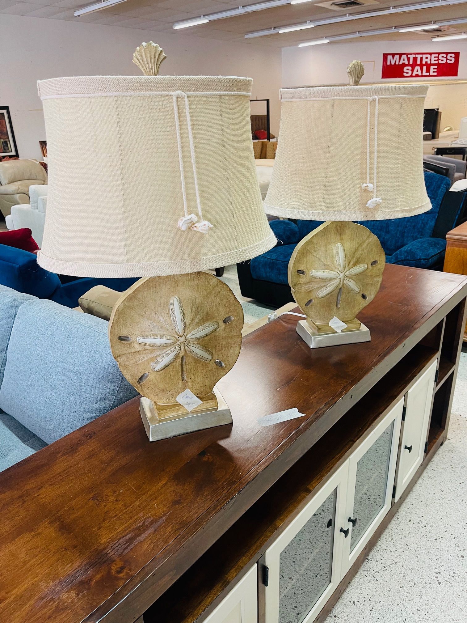 Two sand-dollar-themed table lamps with beige shades sit on a dark wooden console table in a furniture store.