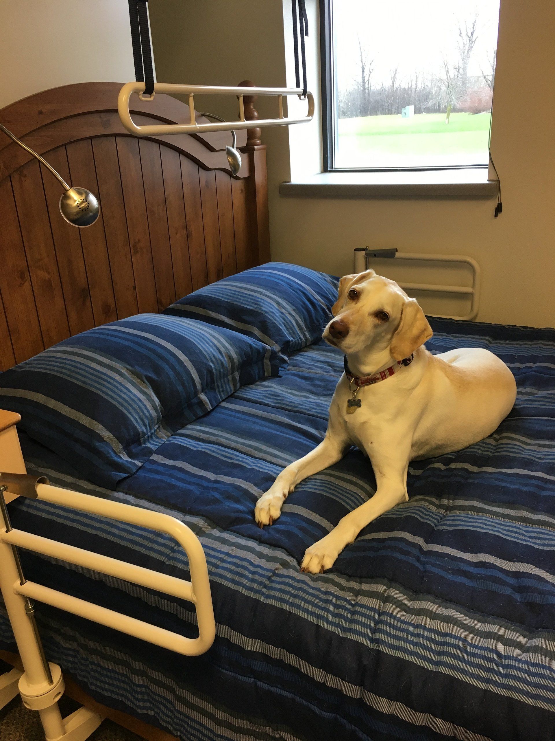 Friendly beds FB models