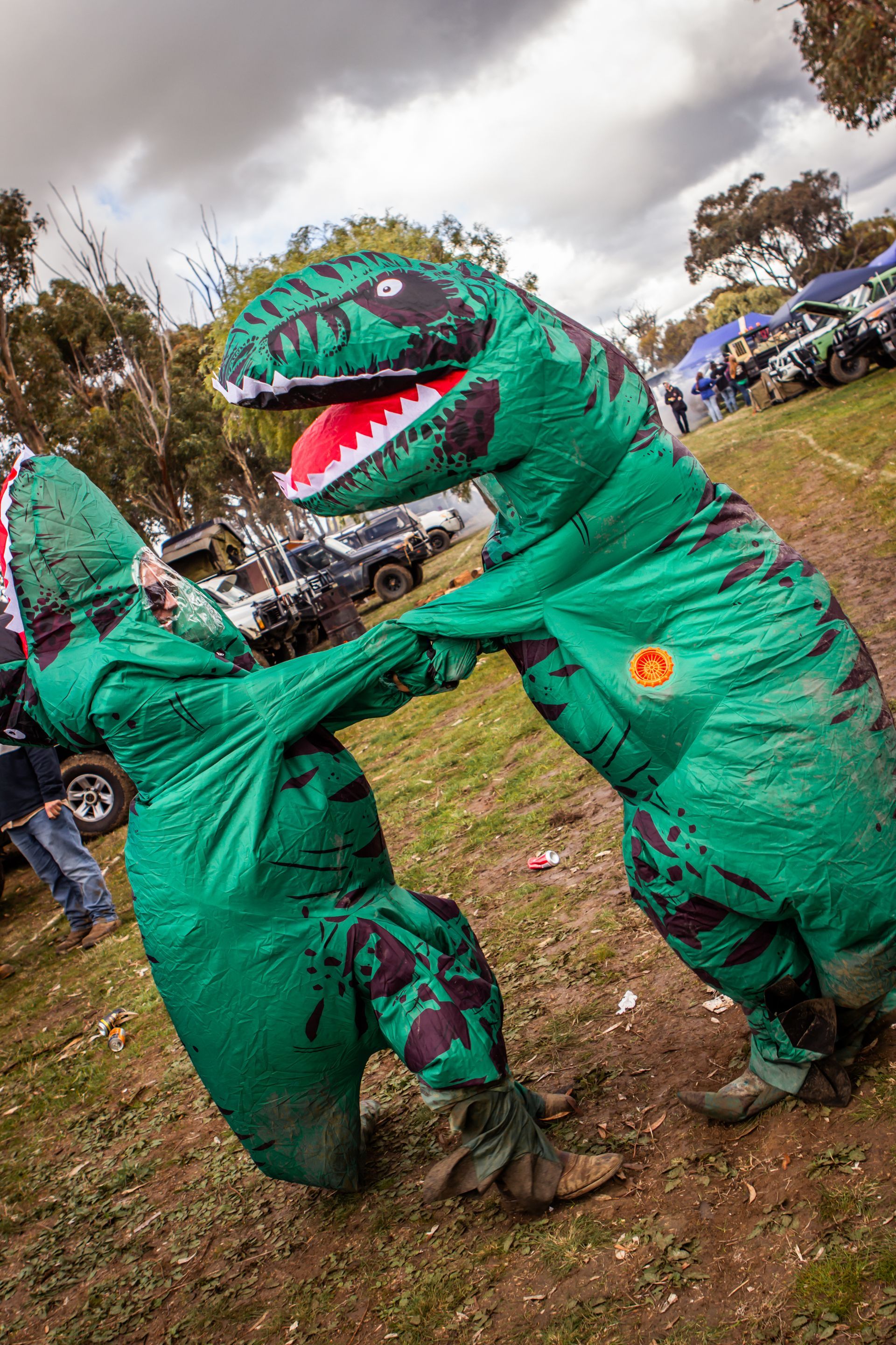 Two people dressed as dinosaurs are fighting in a field