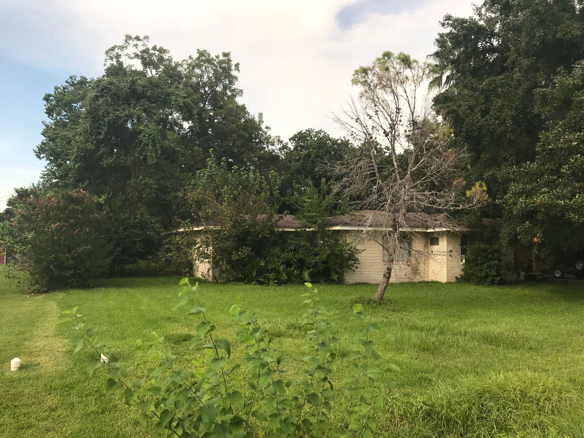 A house in the middle of a grassy field with trees in the background