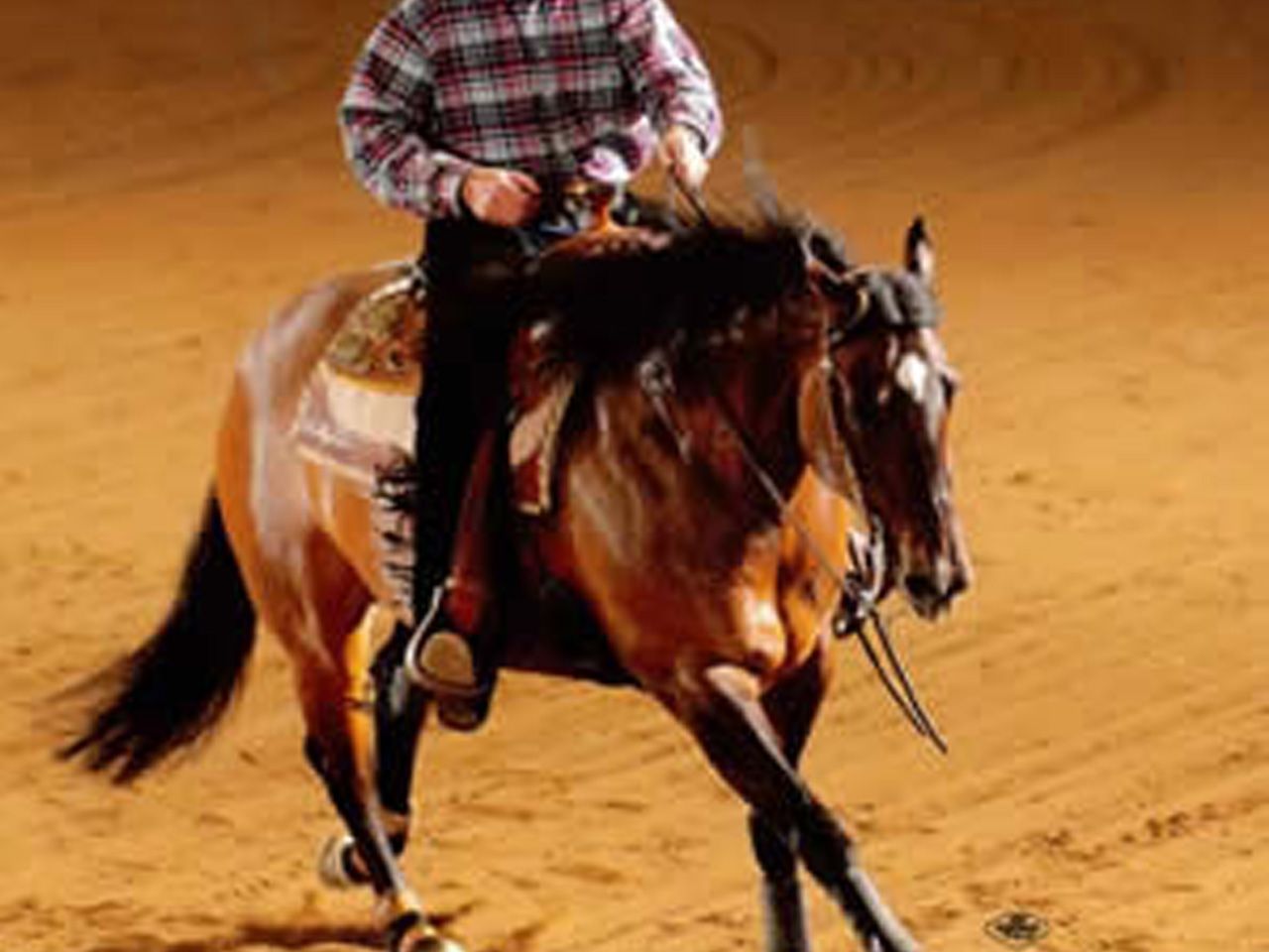 registered-reining-bred-broodmares