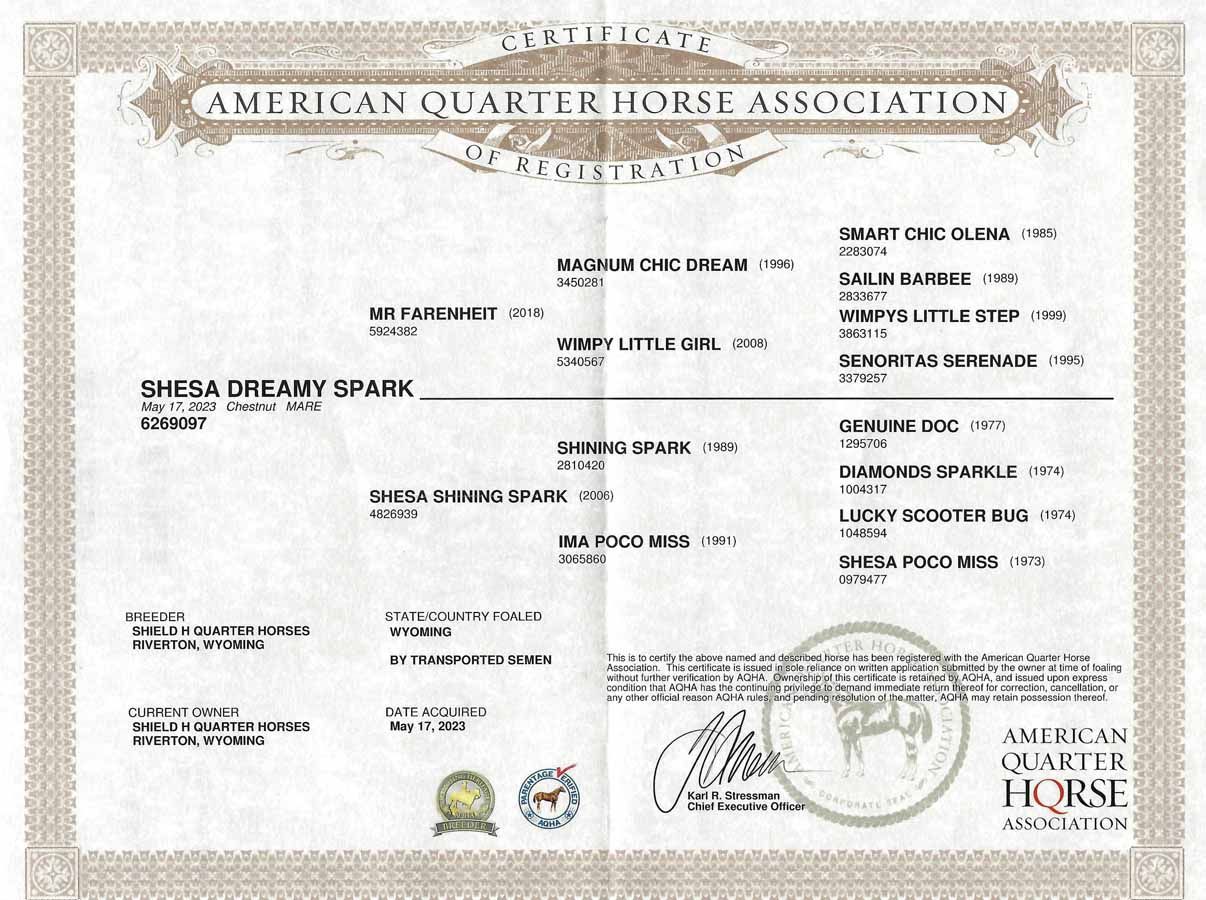 American Quarter Horse Association certificate with horse details and signatures on a beige background