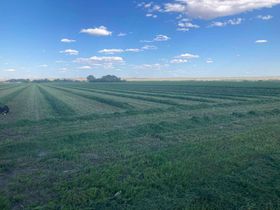 alfalfa-hay-grower
