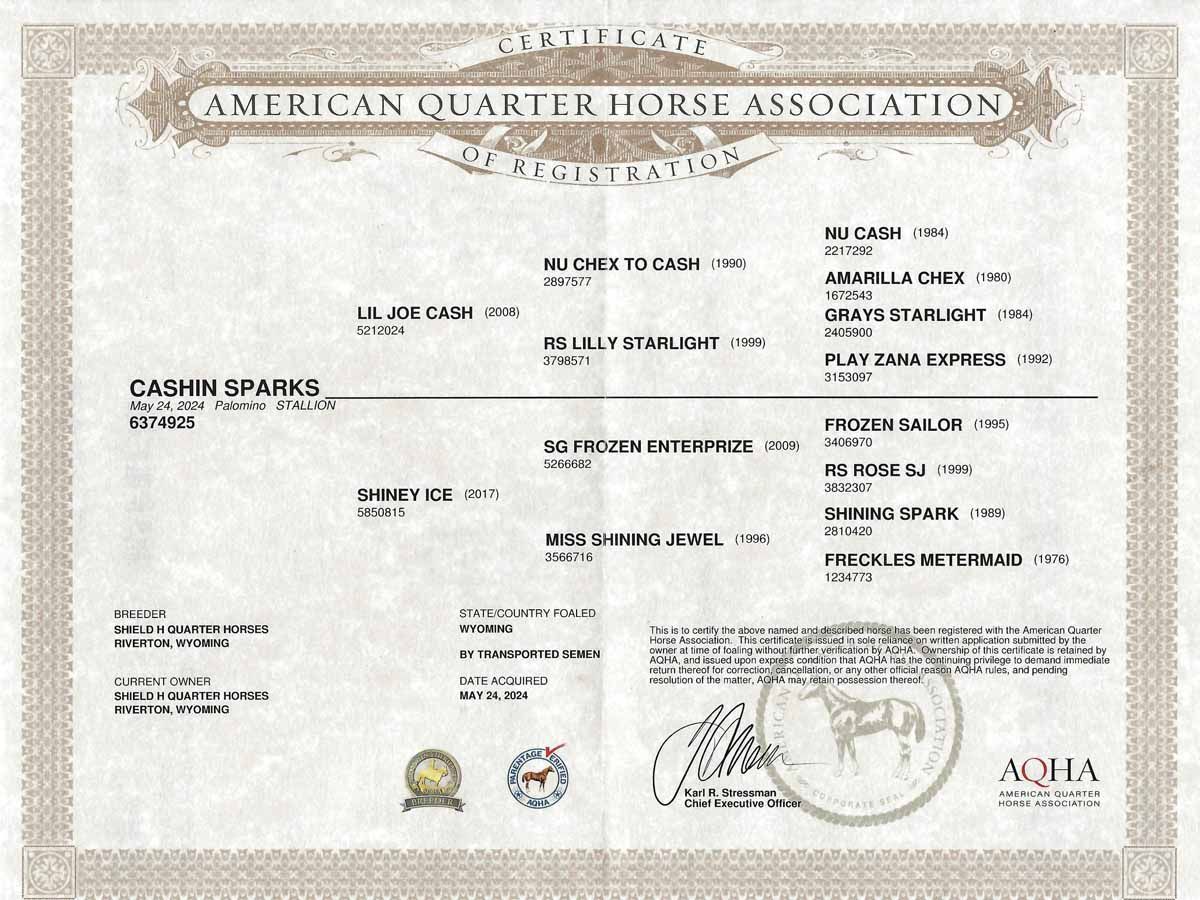 Framed American Quarter Horse Association certificate with ornate border and signatures