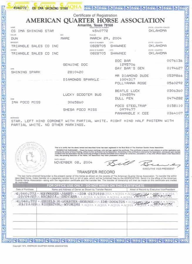 Scanned American Quarter Horse Association certificate with blue border and black text.