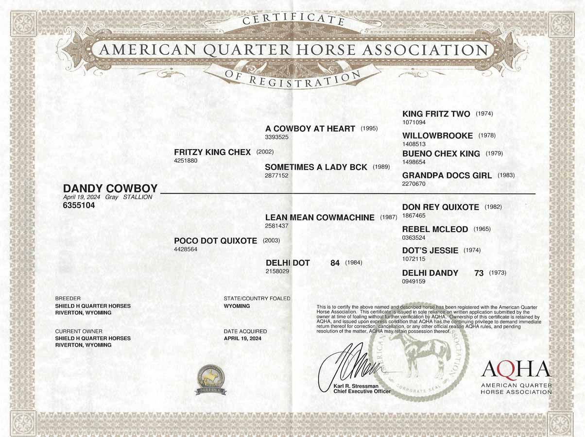 American Quarter Horse Association certificate with horse registry details and signatures on parchment-style paper