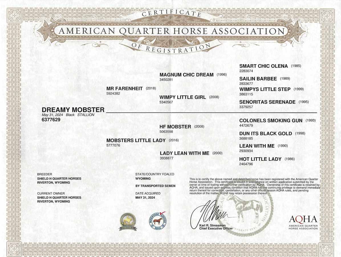American Quarter Horse Association certificate with black text and seal on white paper