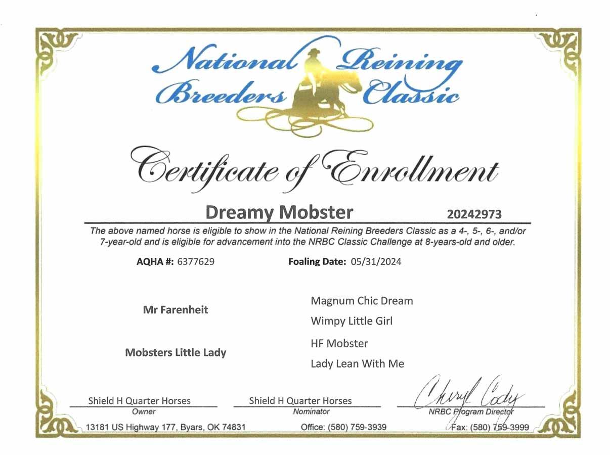 Certificate of enrollment for Dreamy Modster from the National Reining Breeders Classic