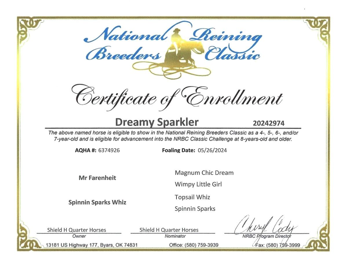 Certificate of Enrollment for Dreamy Sparkler, with gold border and National Cheerleading Association logo