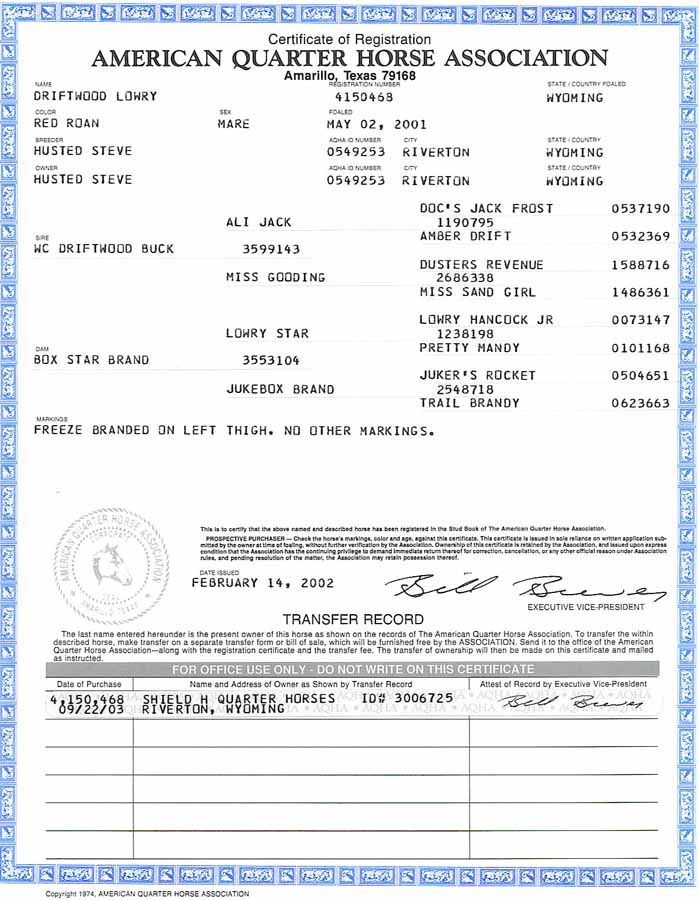American Quarter Horse Association registration certificate with blue border and black text on white paper