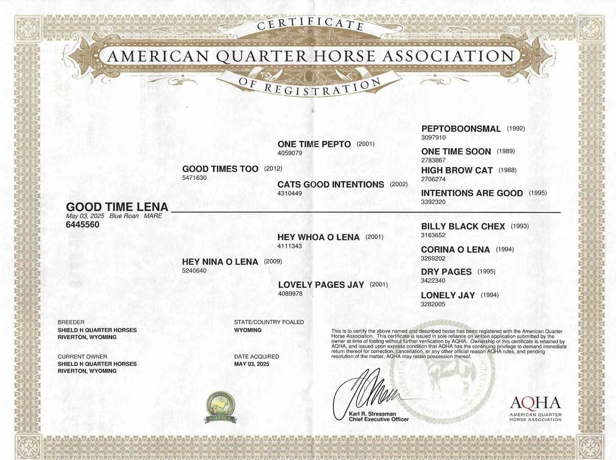 American Quarter Horse Association certificate with gold border and typed registration details