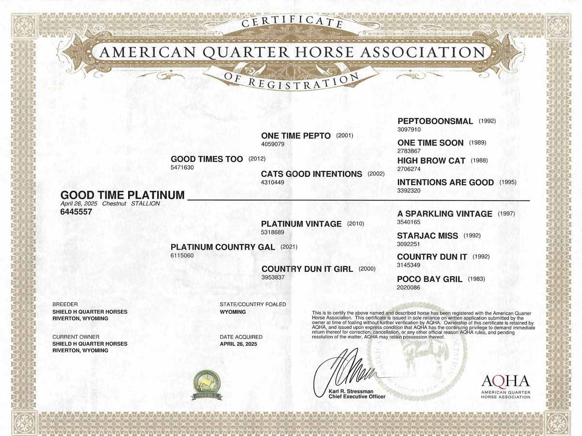 American Quarter Horse Association certificate for a Good Time Platinum horse, with logos and official seal