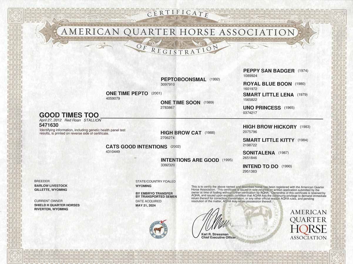 Official certificate with American Quarter Horse Association seal and printed text on white paper