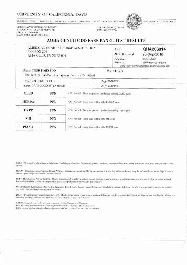 University of Calcutta transcript showing semester marks table and exam details