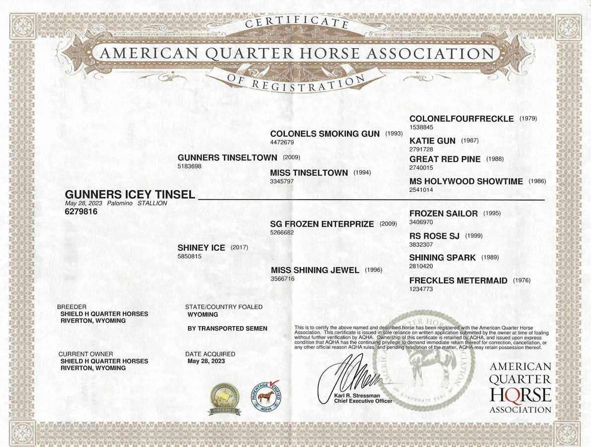 American Quarter Horse Association certificate with horse photo and official seals on a white background