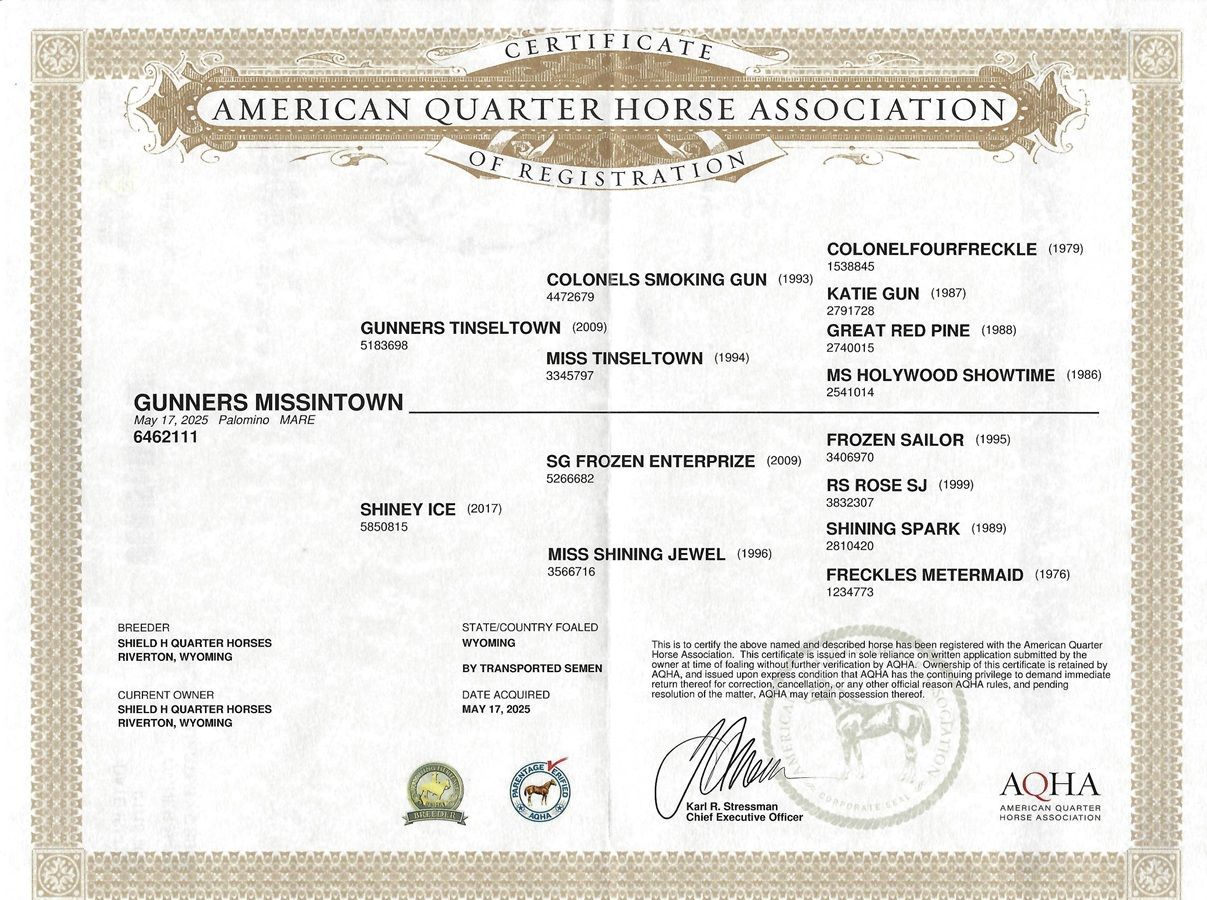 American Quarter Horse Association certificate on white paper with gold header and official seals