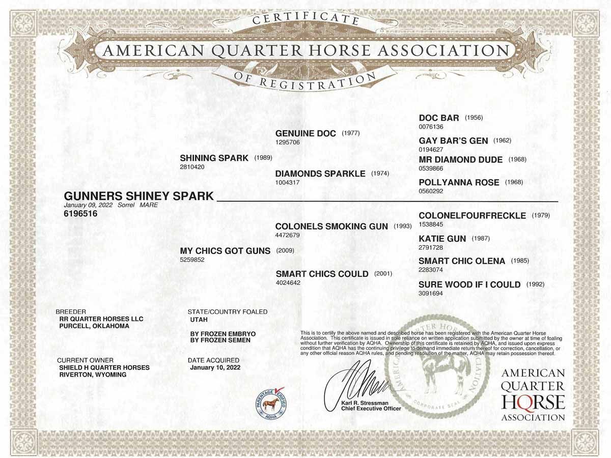 American Quarter Horse Association certificate with horse details and official seal