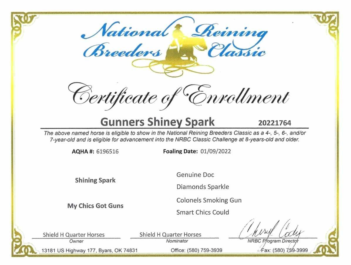National Reining Breeders Classic certificate of enrollment for Gunners Shiney Spark, with gold border