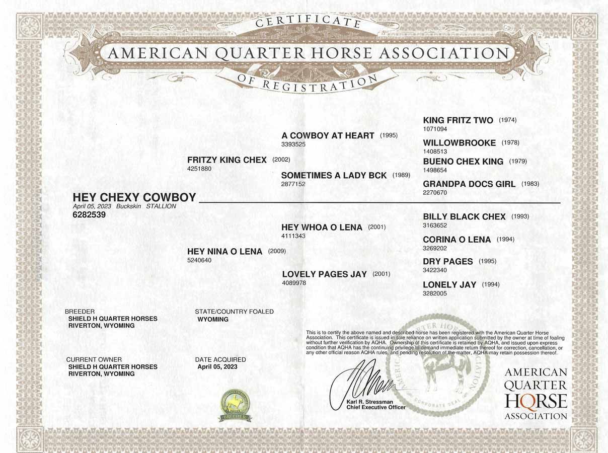American Quarter Horse Association registration certificate with text, logo, and signature seals