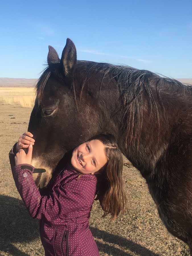 Girl hugging a dark brown horse in a sunny field with a blue sky