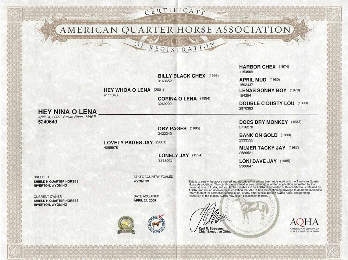 American Quarter Horse Association registration certificate with seals and printed details