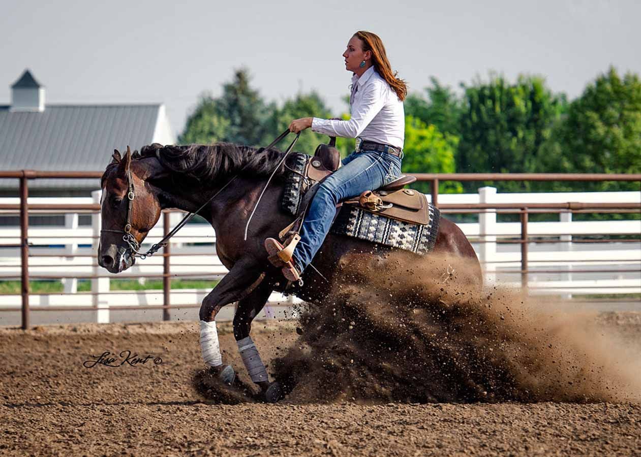 Rider on a dark horse sliding through dirt in a rodeo arena, kicking up dust.