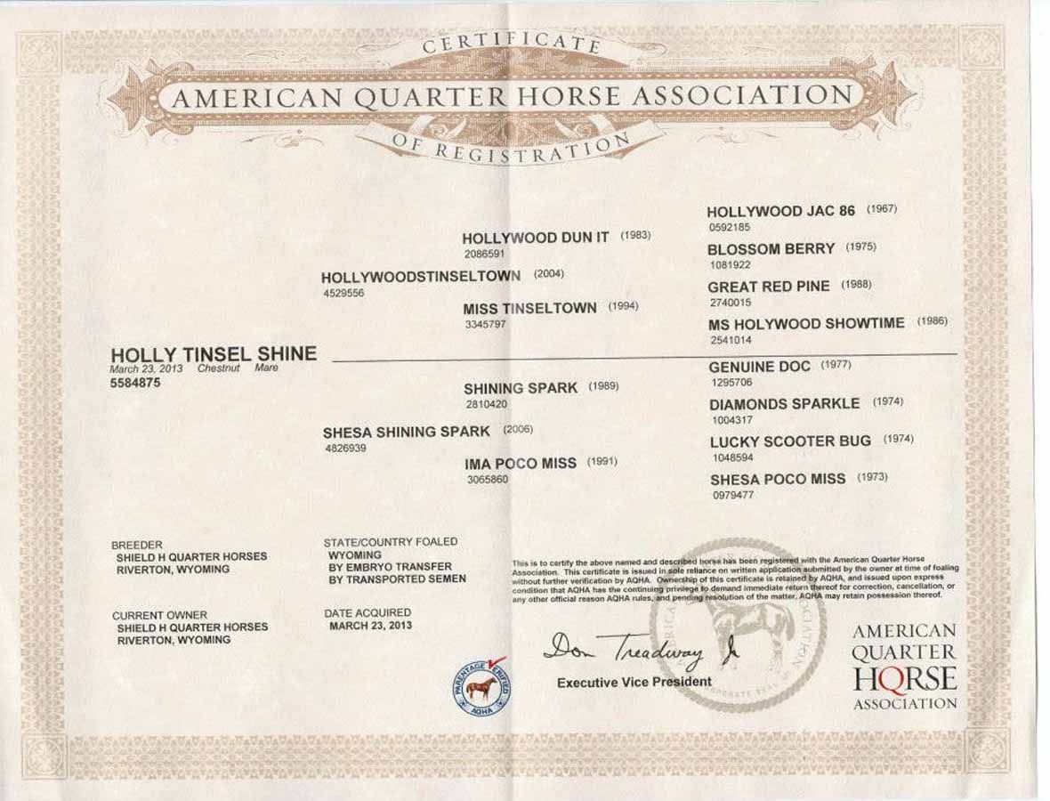 American Quarter Horse Association certificate with horse details and official stamps
